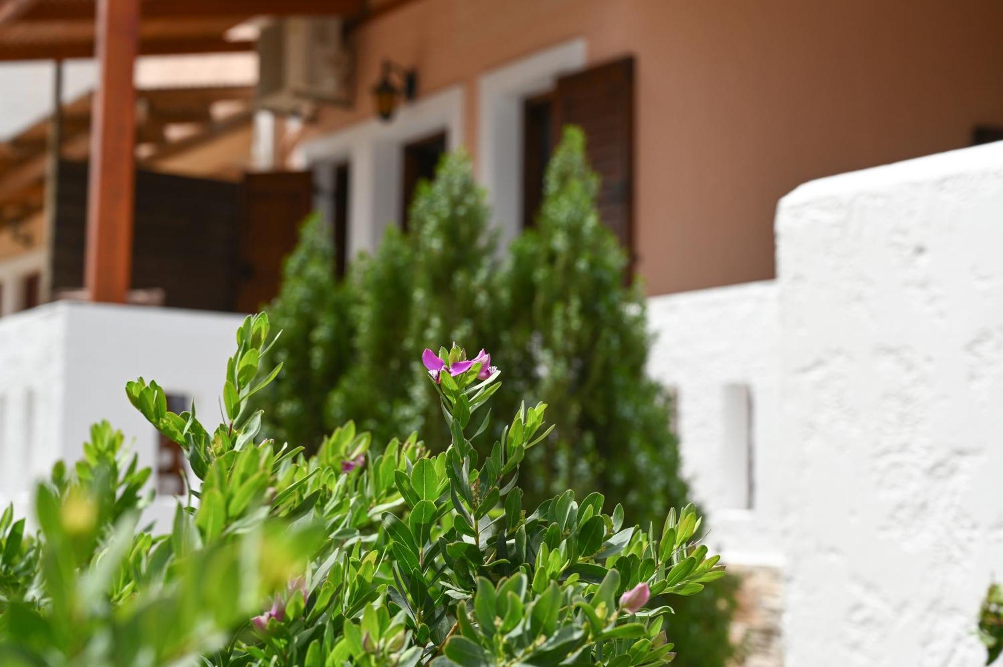 Garden House Xerokampos Apartment Ксерокампос Екстериор снимка